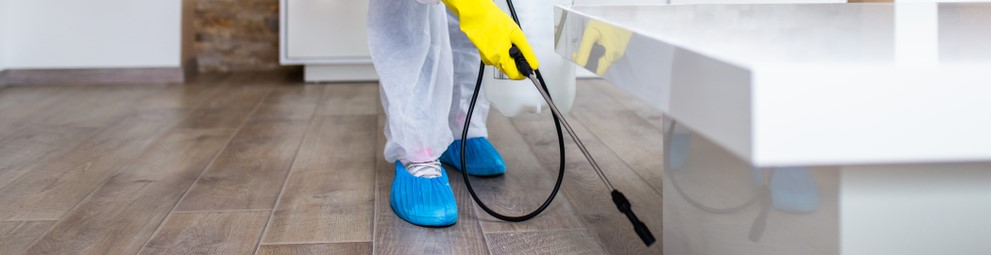 Pest Control Services in Midtown New York New York