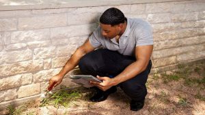 Yorkville NY Residential Pest Control Services at Exterminall Pest Control Co.